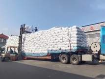 把握機(jī)遇、鉚足干勁、承勢而上
