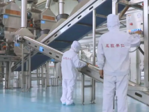 2025年的第一個(gè)月，承德亞歐果仁有限公司在山杏產(chǎn)業(yè)的道路上持續(xù)奮進(jìn)，展現(xiàn)出蓬勃的發(fā)展活力。